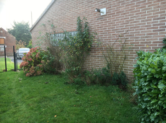 préparation plantation | début de chantier